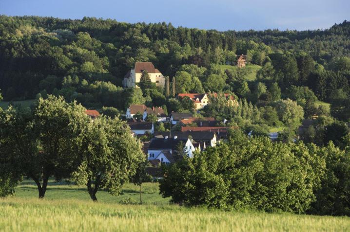 Schlosshotel Obermayerhofen Sebersdorf Εξωτερικό φωτογραφία
