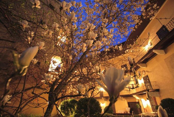 Schlosshotel Obermayerhofen Sebersdorf Εξωτερικό φωτογραφία