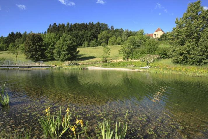 Schlosshotel Obermayerhofen Sebersdorf Εξωτερικό φωτογραφία
